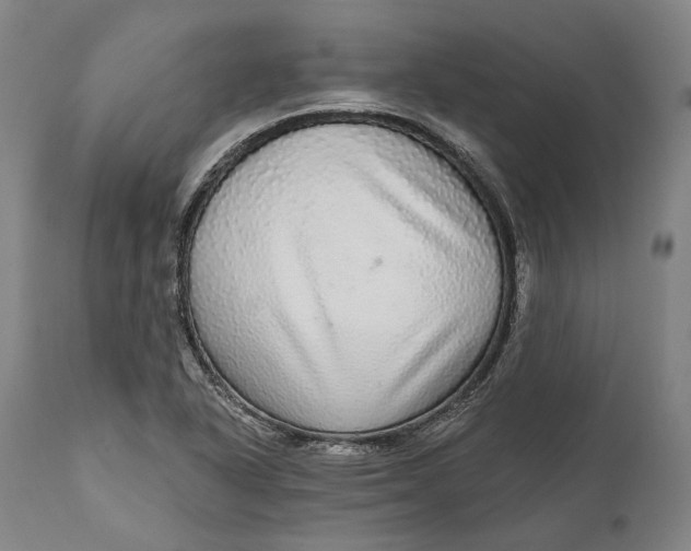 X0000111581318200908061315