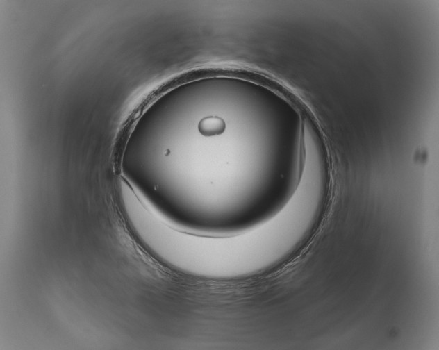 X0000111581319200908061315