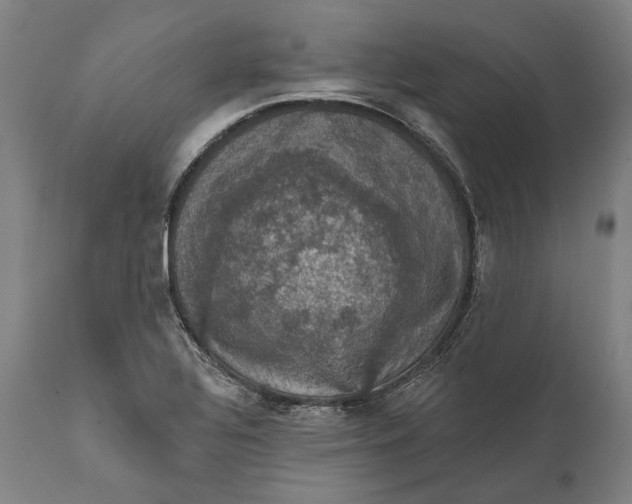 X0000111581320200908061315