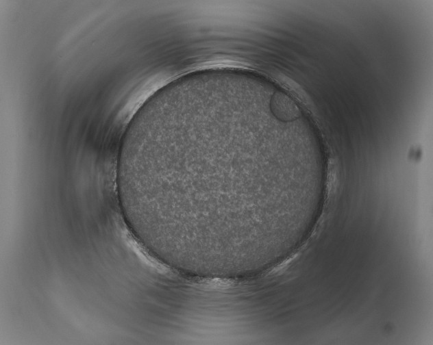 X0000111581321200908061315