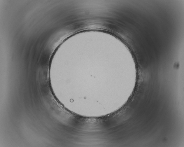 X0000111581322200908061315