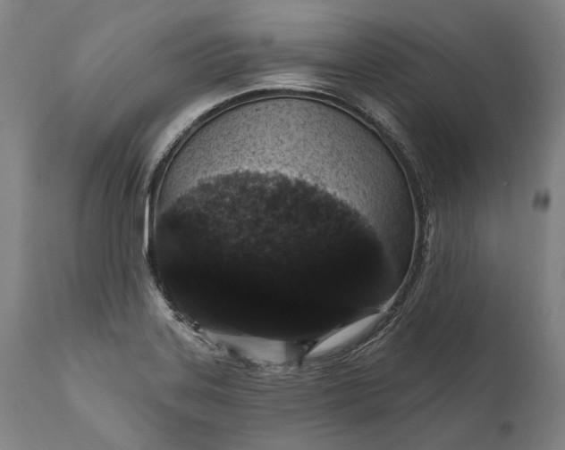 X0000111581323200908061315