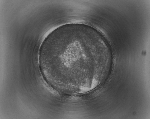 X0000111581324200908061315