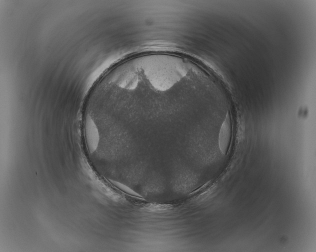 X0000111581325200908061315