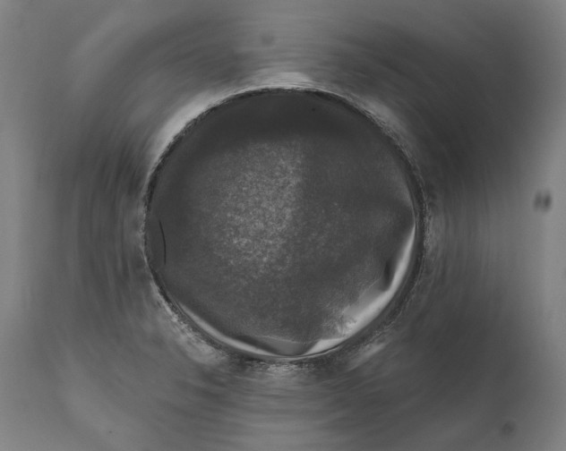 X0000111581326200908061315