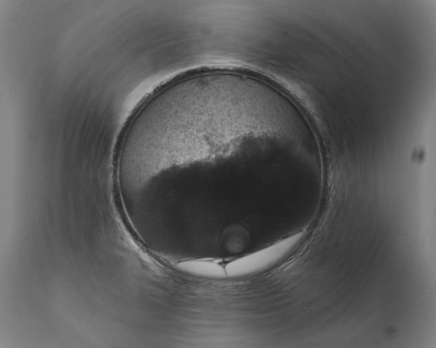 X0000111581327200908061315