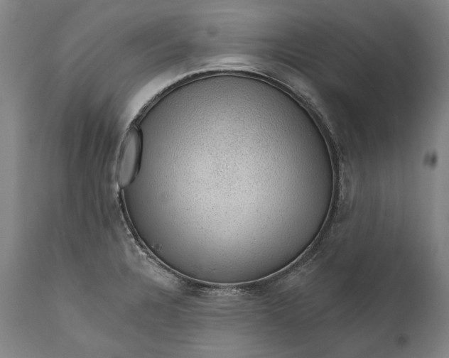 X0000111581328200908061315