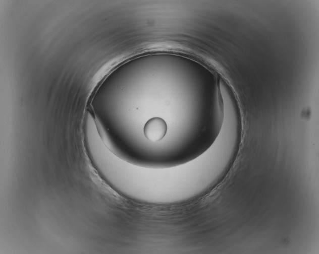 X0000111581330200908061315