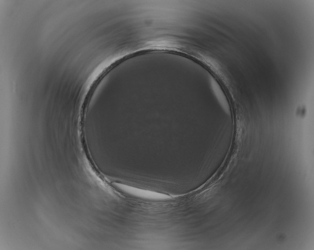 X0000111581331200908061315