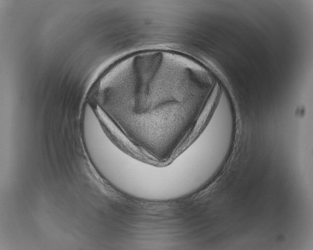 X0000111581332200908061316