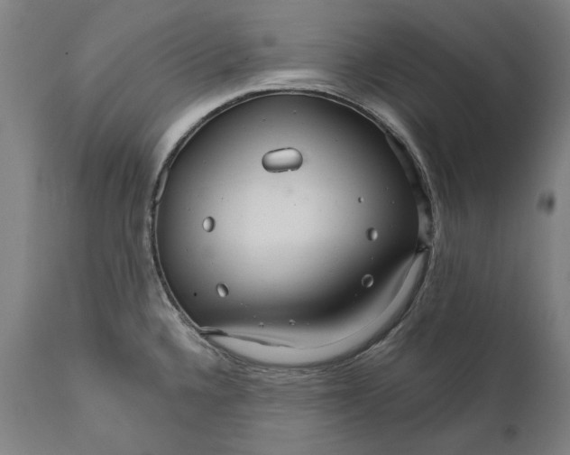 X0000111581336200908061316