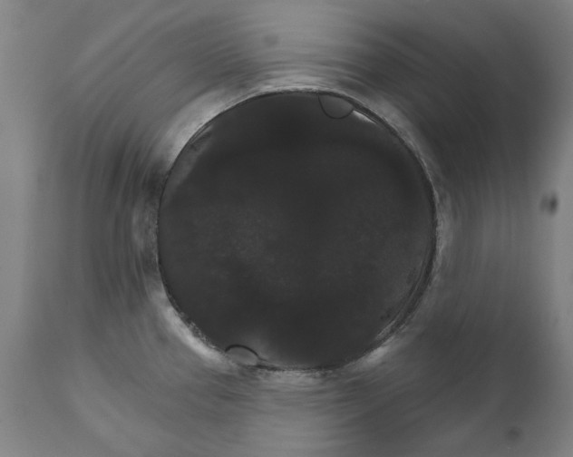 X0000111581337200908061316