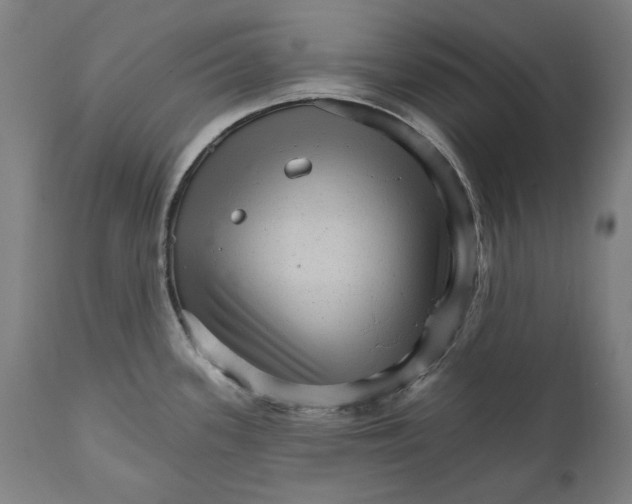 X0000111581339200908061316