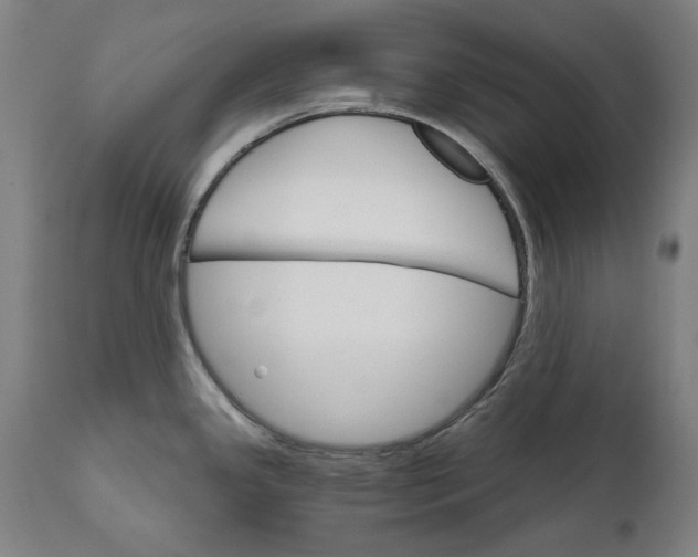 X0000111581341200908061316