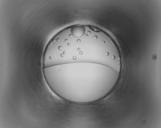 X0000111581343200908061316