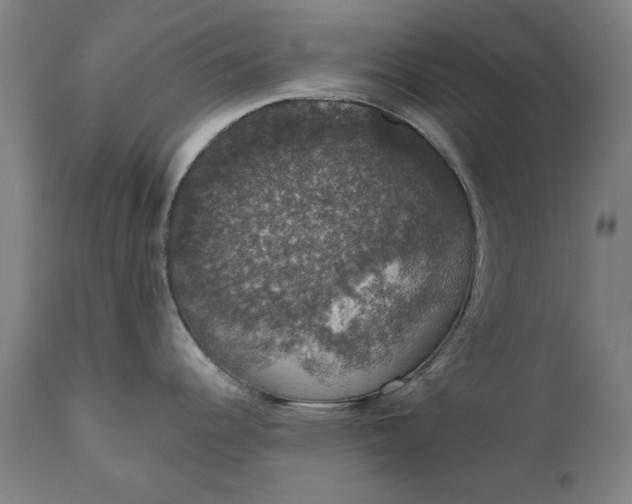 X0000111581344200908061316