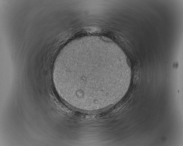 X0000111581345200908061315