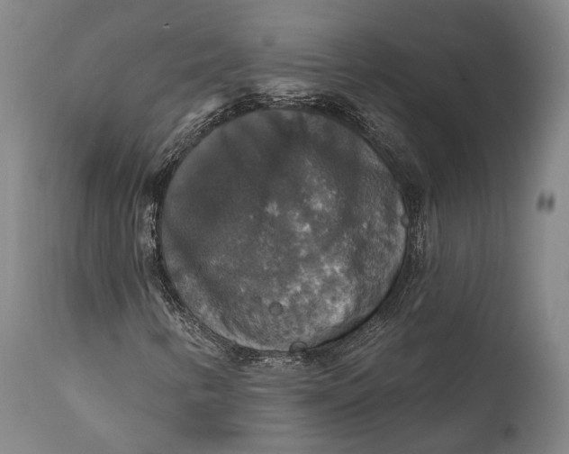 X0000111581346200908061315