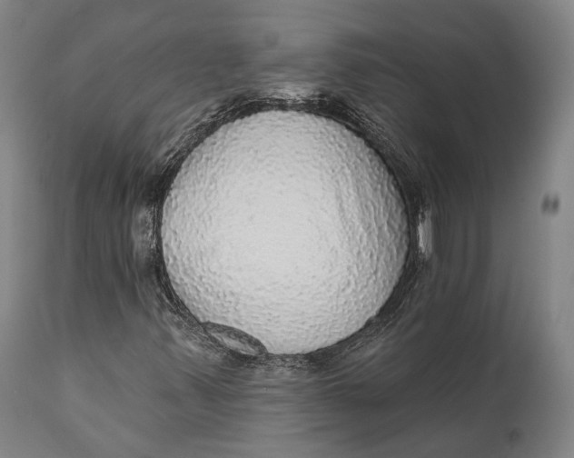 X0000111581347200908061315