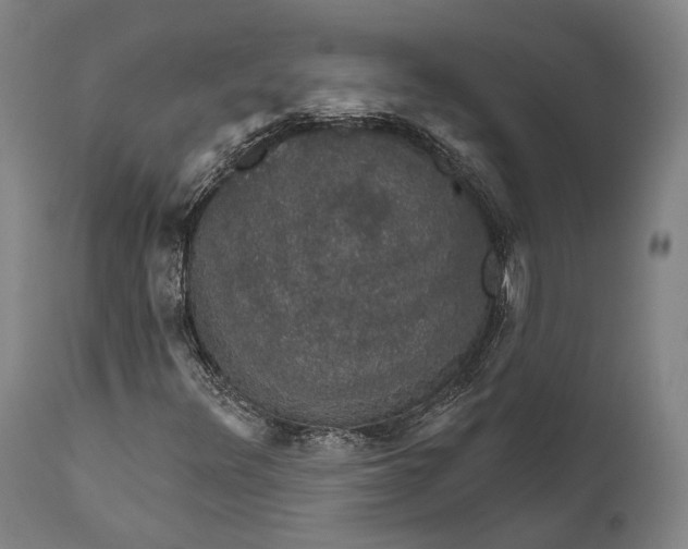 X0000111581348200908061315