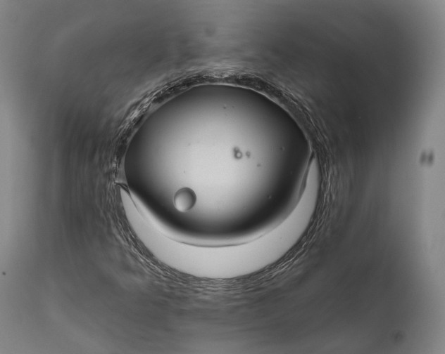 X0000111581349200908061315