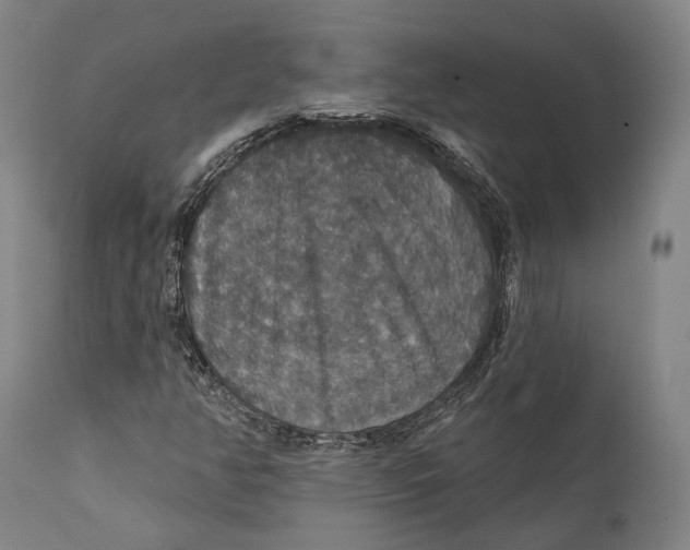 X0000111581350200908061315