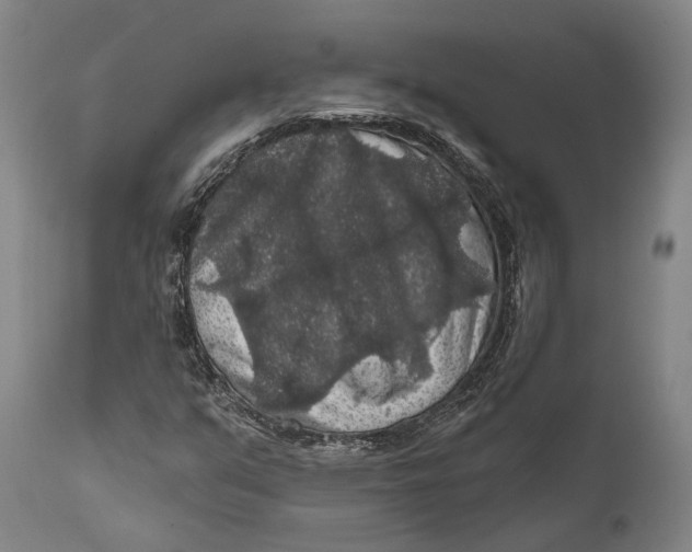 X0000111581351200908061315