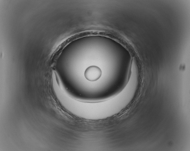 X0000111581352200908061315