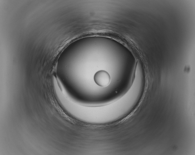 X0000111581353200908061315