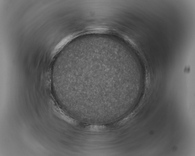 X0000111581354200908061315