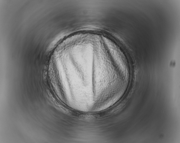 X0000111581355200908061315