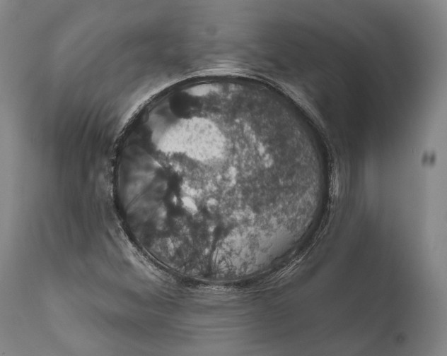 X0000111581356200908061315