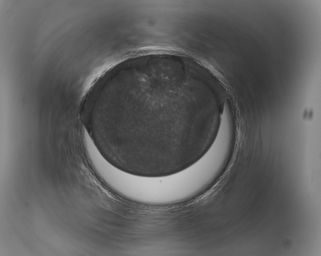 X0000111581357200908061315