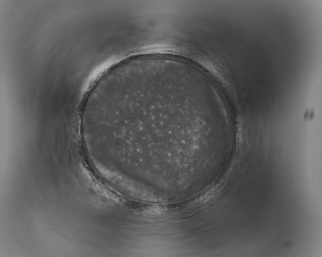 X0000111581358200908061315