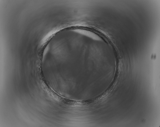 X0000111581359200908061315