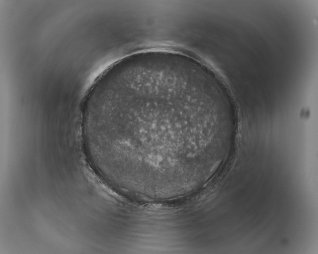 X0000111581360200908061315