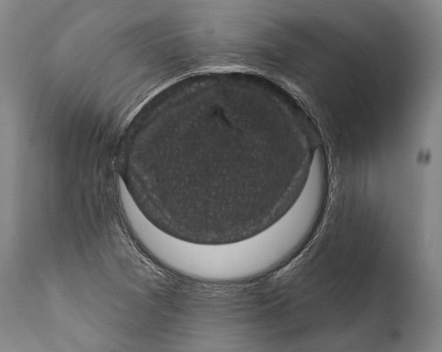 X0000111581361200908061315