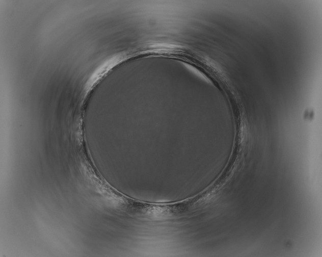 X0000111581362200908061315