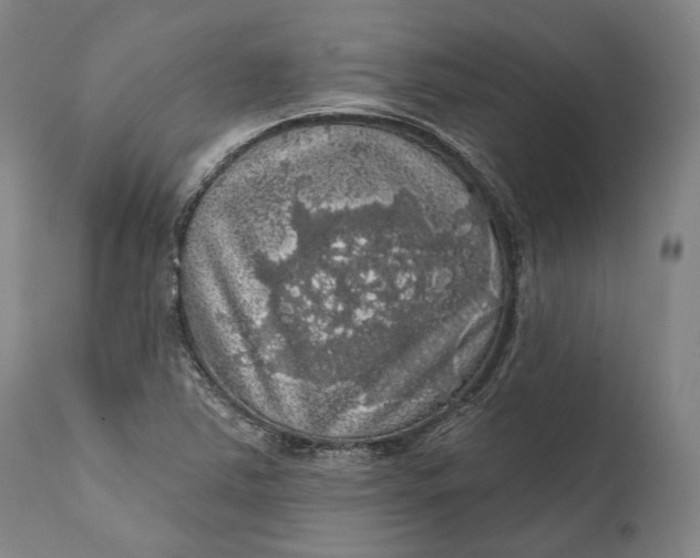 X0000111581363200908061315