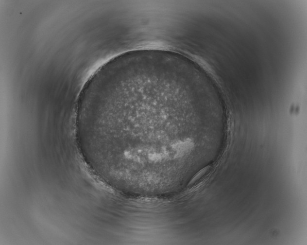 X0000111581364200908061315