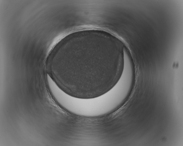 X0000111581365200908061315