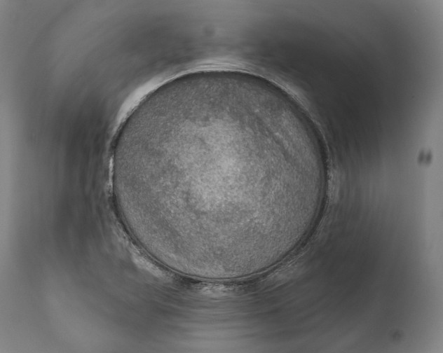 X0000111581366200908061315