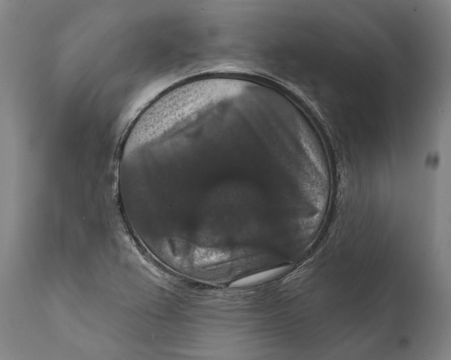 X0000111581367200908061315