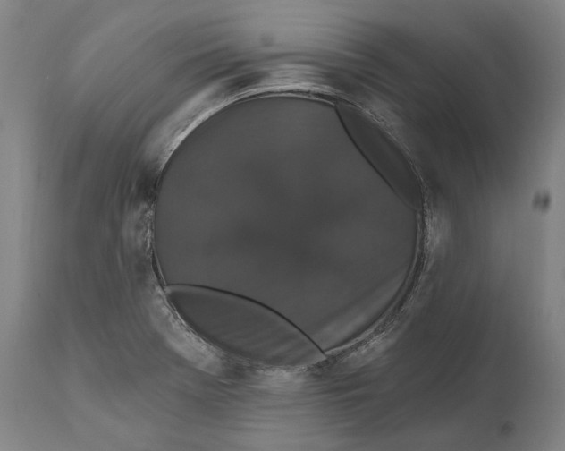 X0000111581369200908061315