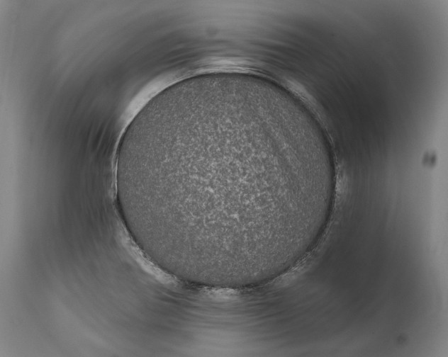 X0000111581370200908061315