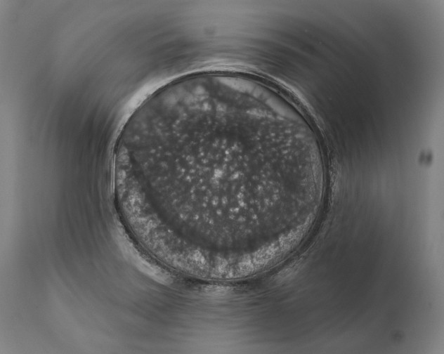 X0000111581371200908061315