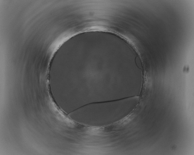 X0000111581373200908061315