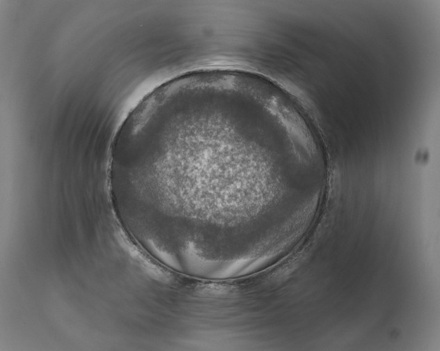 X0000111581374200908061315