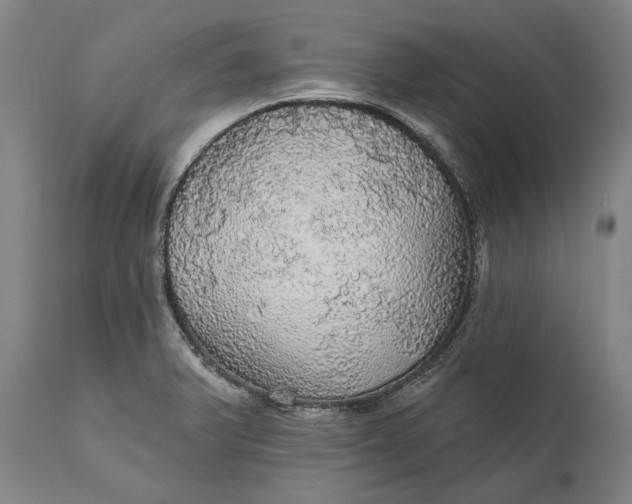 X0000111581375200908061315