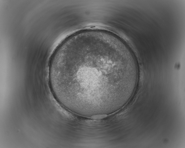 X0000111581376200908061315